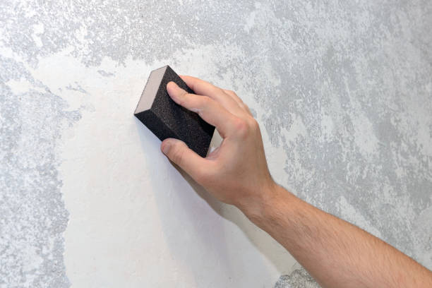 Best Mold Damage Restoration  in Byron Center, MI