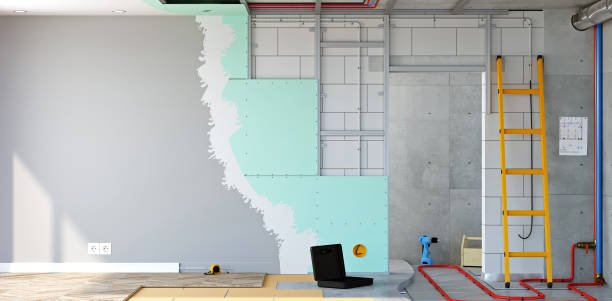 Best Basement Mold Removal  in Byron Center, MI