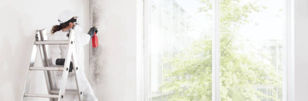 Best Industrial Mold Remediation  in Byron Center, MI