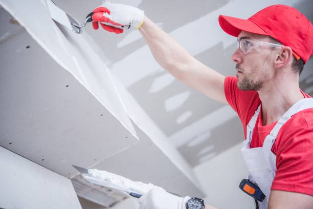 Best Real Estate Mold Inspection  in Byron Center, MI